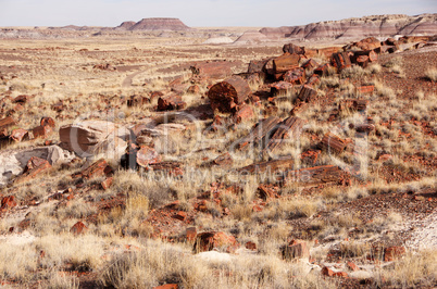 Petrified-Forest-National-Park, Arizona, USA