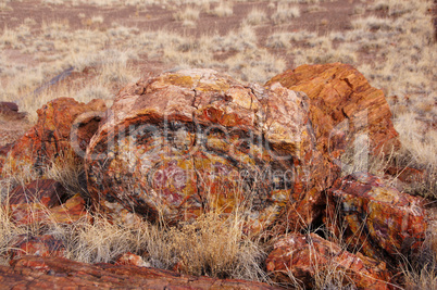 Petrified-Forest-National-Park, Arizona, USA