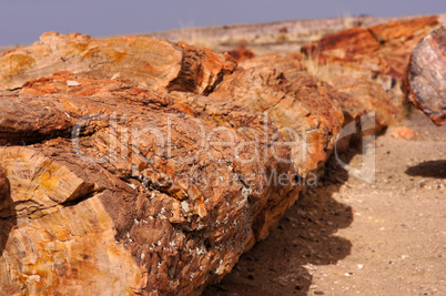 Petrified-Forest-National-Park, Arizona, USA Petrified-Forest-National-Park, Arizona, USA
