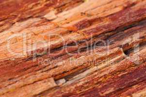 Petrified-Forest-National-Park, Arizona, USA