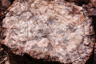 Petrified-Forest-National-Park, Arizona, USA