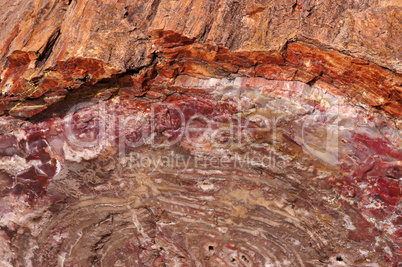 Petrified-Forest-National-Park, Arizona, USA