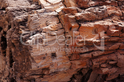 Petrified-Forest-National-Park, Arizona, USA