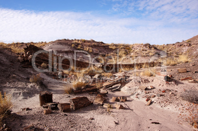 Petrified-Forest-National-Park, Arizona, USA Petrified-Forest-National-Park, Arizona, USA