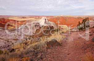 Petrified-Forest-National-Park, Arizona, USA