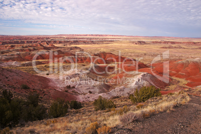 Petrified-Forest-National-Park, Arizona, USA