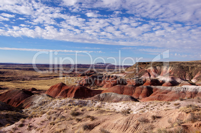 Petrified-Forest-National-Park, Arizona, USA