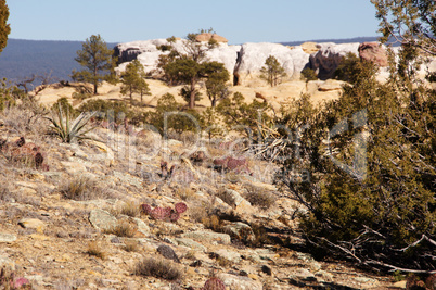 El Morro National Monument, Neu Mexiko, USA