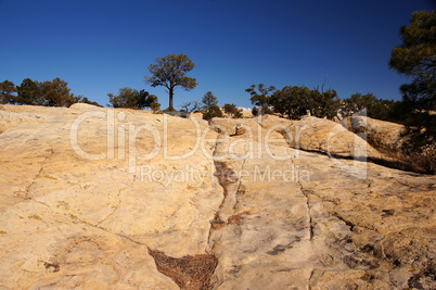 El Morro National Monument, Neu Mexiko, USA