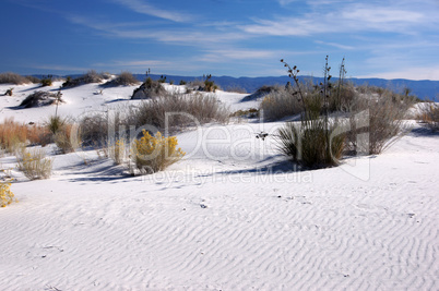 White Sands Nationalpark, New Mexico, USA