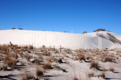 White Sands Nationalpark, New Mexico, USA