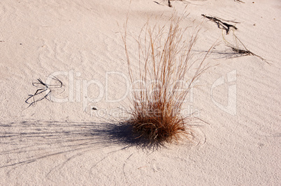 White Sands Nationalpark, New Mexico, USA