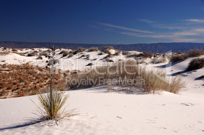 White Sands Nationalpark, New Mexico, USA