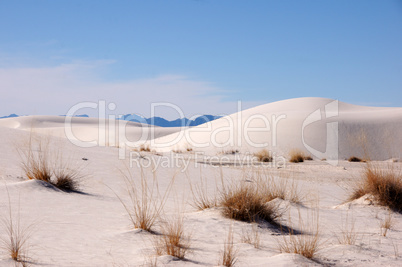 White Sands Nationalpark, New Mexico, USA