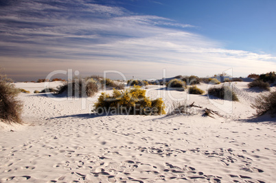 White Sands Nationalpark, New Mexico, USA