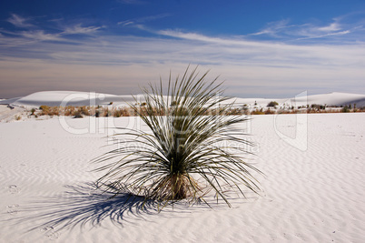 White Sands Nationalpark, New Mexico, USA