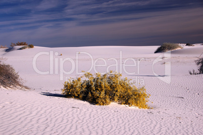 White Sands Nationalpark, New Mexico, USA