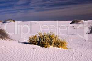 White Sands Nationalpark, New Mexico, USA