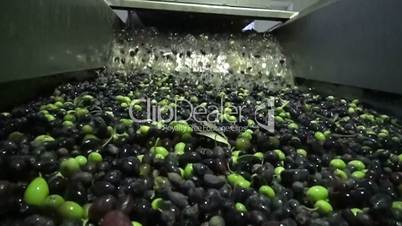 Washing Olives - Slow Motion (2)