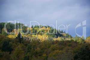 Eifel im Herbst
