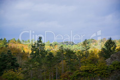 Eifel im Herbst