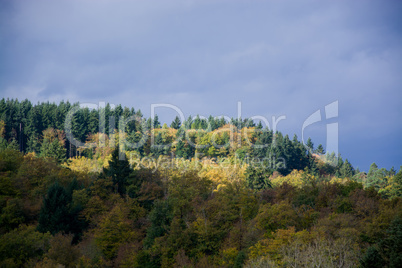 Eifel im Herbst