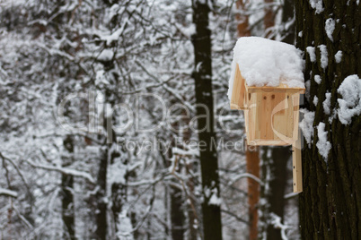 Wooden house for the birds in winter Park