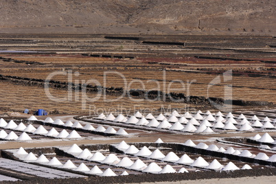 Meersalzgewinnung-Saline