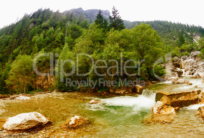 Alpin landscape with river and vegetation