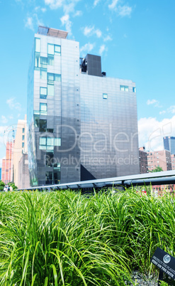 High Line Park in New York City. View on a beautiful sunny day