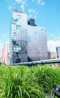 High Line Park in New York City. View on a beautiful sunny day