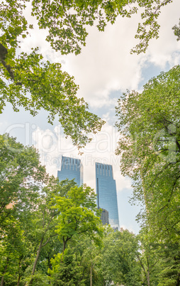 Vegetation of Central Park in Manhattan, New York City