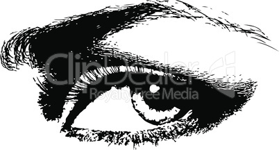human eye beauty woman vector illustration