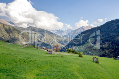 Alpine meadow in Tirol