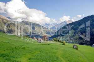 Alpine meadow in Tirol