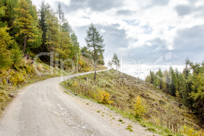 Way to the pasture