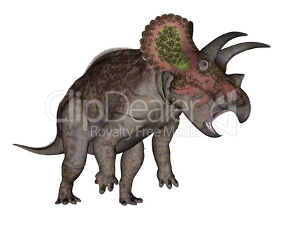 Triceratops dinosaur standing up - 3D render