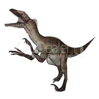 Utahraptor dinosaur roaring - 3D render