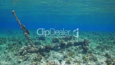 Anchor on top of a coral reef