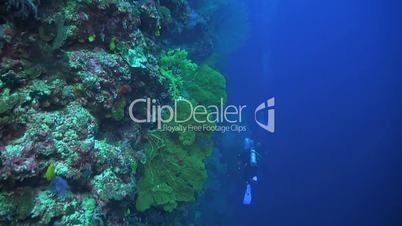 Drop off on a coral reef