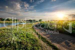 Sunflowers and country road