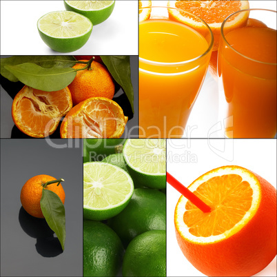 citrus fruits collage