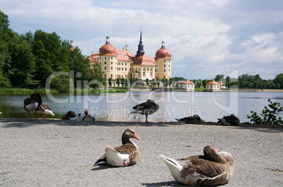 Schloss Moritzburg, Sachsen, Deutschland