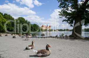 Schloss Moritzburg, Sachsen, Deutschland