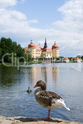 Schloss Moritzburg, Sachsen, Deutschland