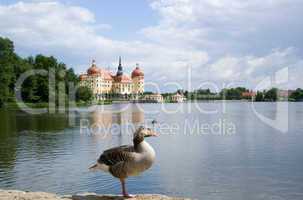 Schloss Moritzburg, Sachsen, Deutschland