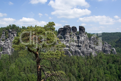 Elbsandsteingebirge, Sachsen, Deutschland