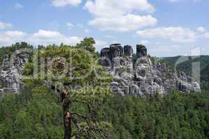 Elbsandsteingebirge, Sachsen, Deutschland