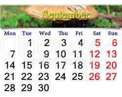 calendar for September of 2014 on the background of mushrooms