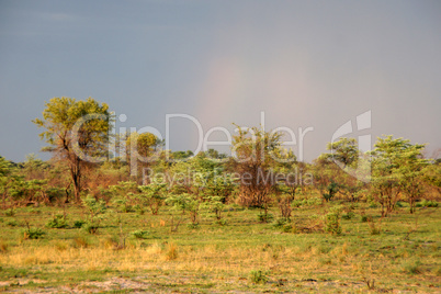 Namibia